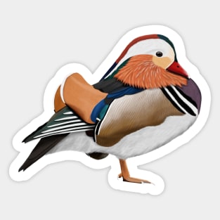 Mandarin Duck Bird Birder Birdlover Birdwatcher Animal Sticker